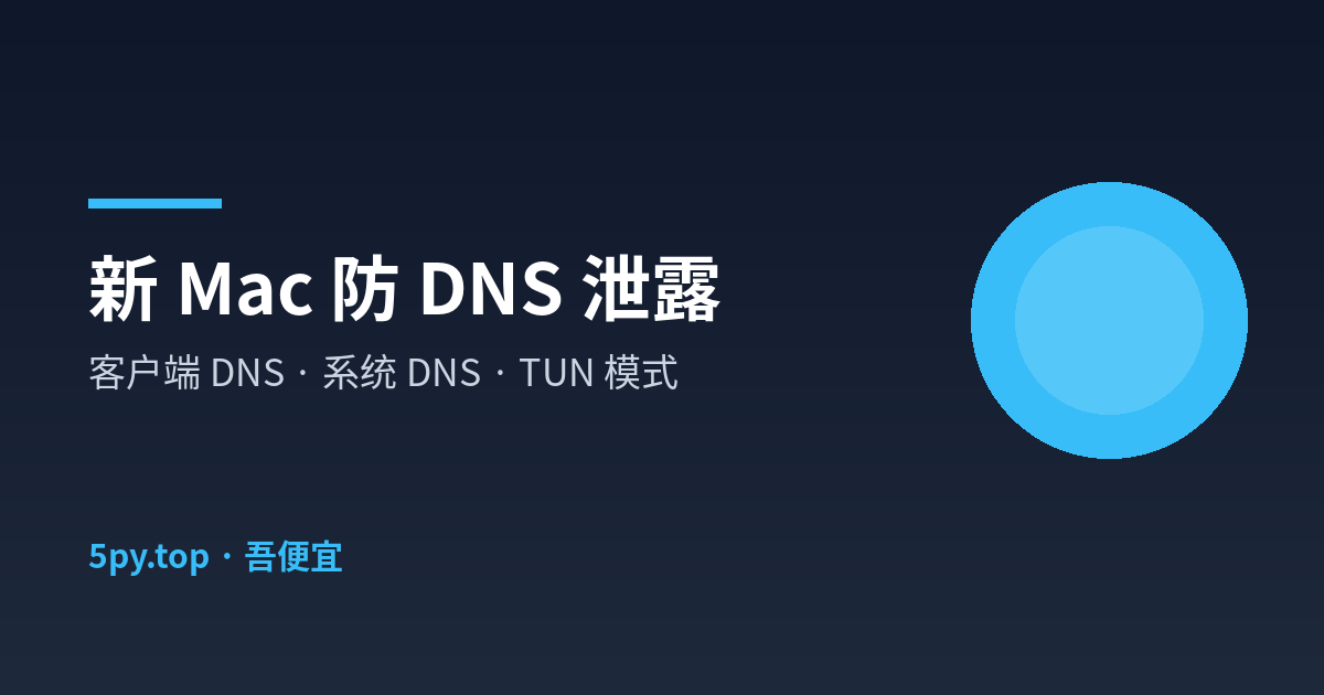 新 Mac 防 DNS 泄露三步